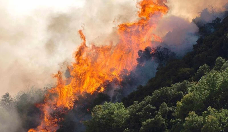 Συναγερμός στην Πυροσβεστική: Πυρκαγιές σε Άρτα και Μεσσηνία